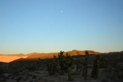 DSC_0289 (Large).JPG